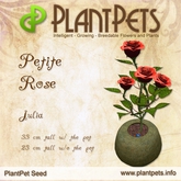 PlantPet Seed [Petite Rose *Julia*] common Release Day 02.07.2013