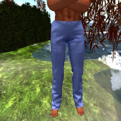 Men Sweatpants  blue a