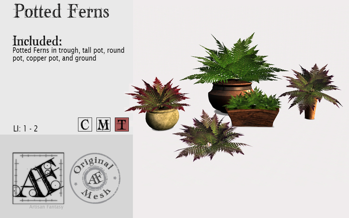 *AF* Potted Ferns 