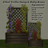 Ethel Trellis Daisy & Baby Rose - Sycamore Lge & Sm