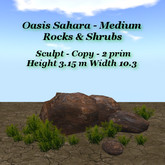 Oasis Sahara Med