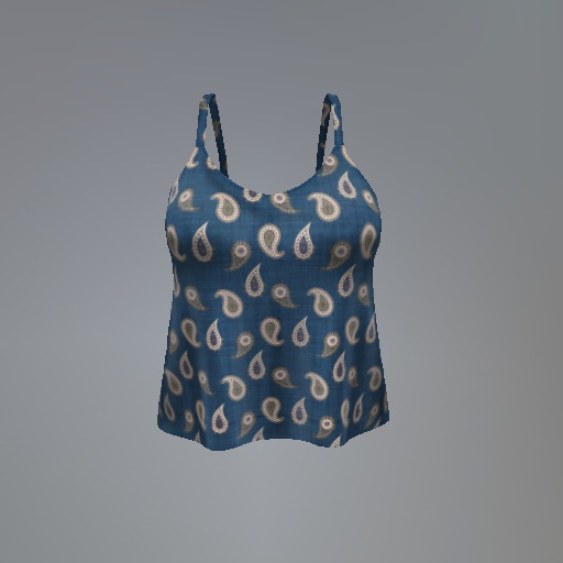 Blue Paisley Mesh Top