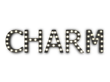 [Px] "CHARM" Illuminated Light Bulbs Sign