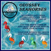SEAHORSE SHELL1