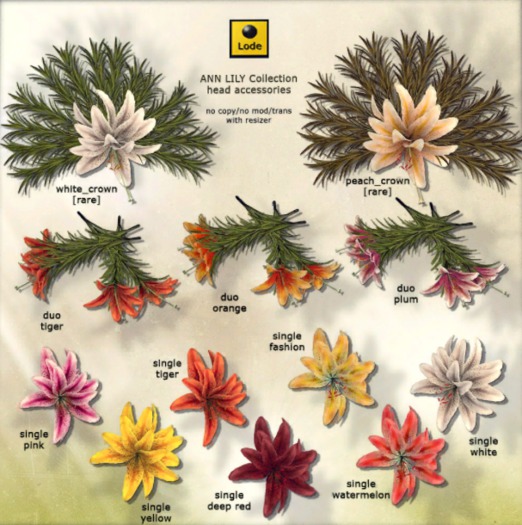 *LODE* Head Accessory - Ann Lily Duo [orange]