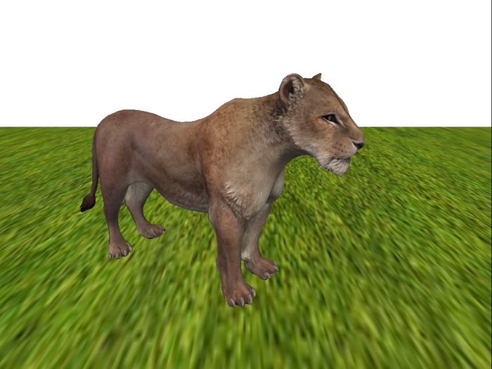 Tiny Animated Mesh Lioness 2.5x2.5 area