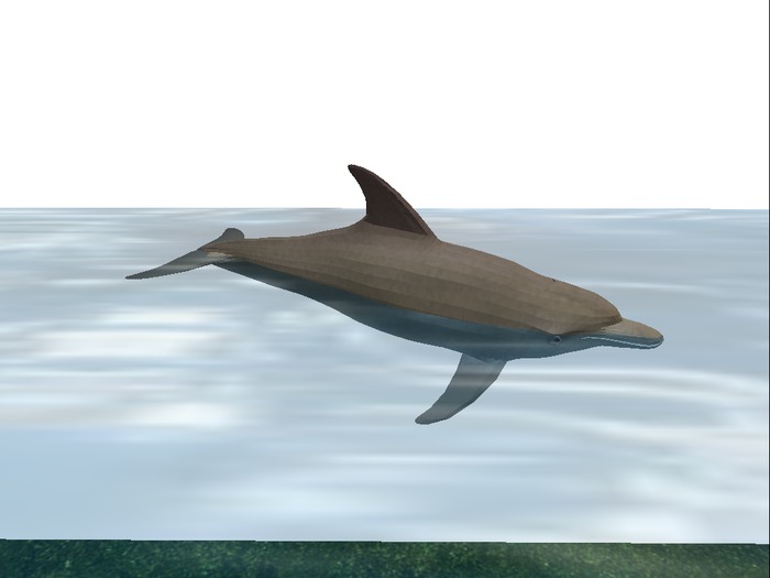 Tiny Animated Mesh Dolphin
