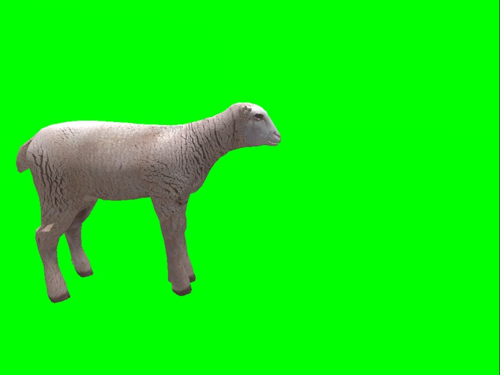 Tiny Animated Mesh Lamb 3x3 area