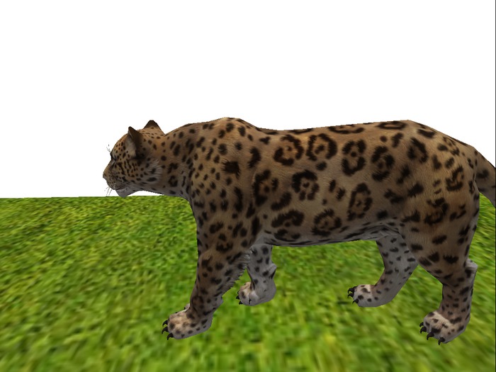 Animated Mesh Jaguar 3x3 area