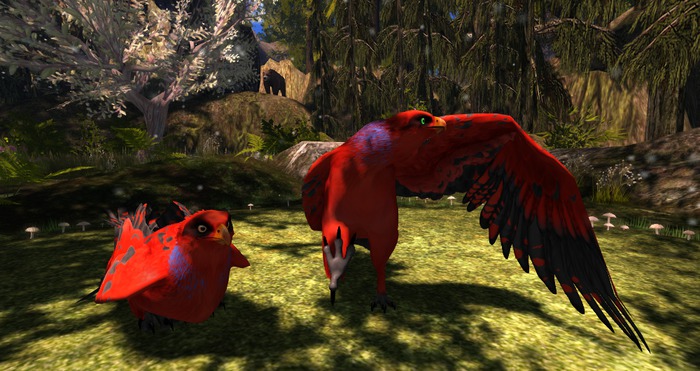 BRDMART: Eagle Avatar Blue Streaked Lory Mod Kit BOXED