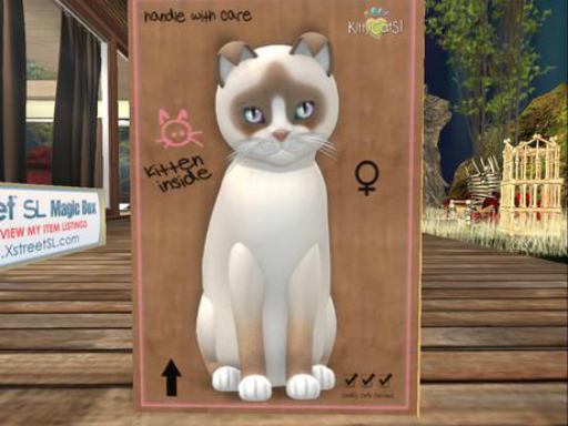 KittyCatS Box - snowshoe cream 8t girl 1K