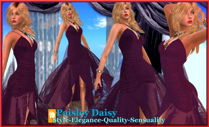 Paisley Daisy ~ Strappy Number Burgandy Berry Gown