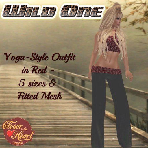 Wild One Yoga Outfit- Red  ***