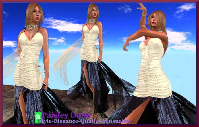 Paisley Daisy - Strappy Number Leather & Lace Gown