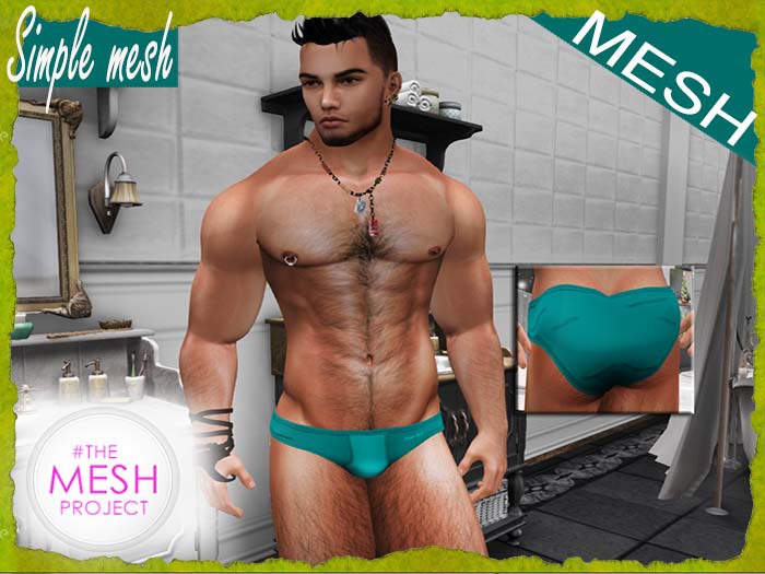 SM Green Brief