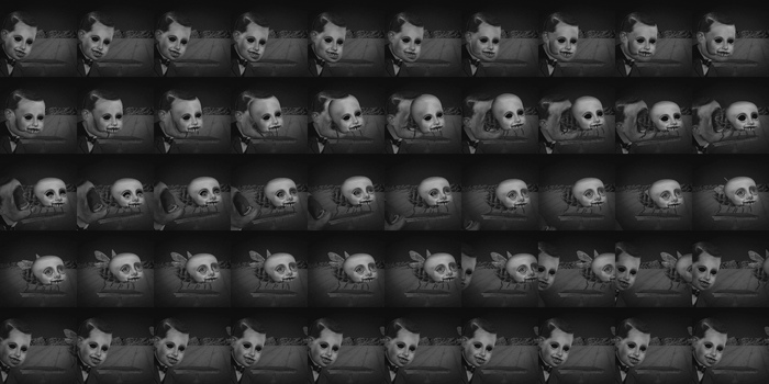 Animated Texture Scary Weird Fly Loop