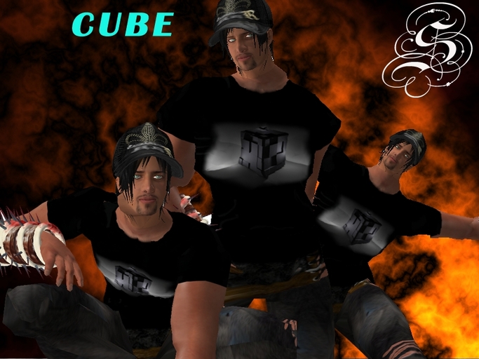 CUBE- GUS DESIGNS