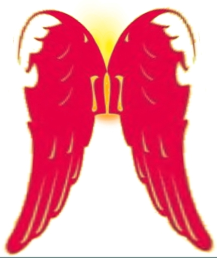 Ailes Ange rouge