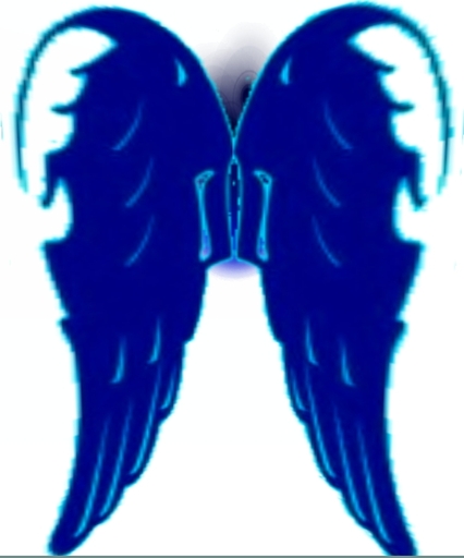 Ailes Ange bleu