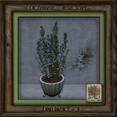 Simple Elegance Pine Mission Planter F