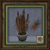 Stone Planter B Floral Ce