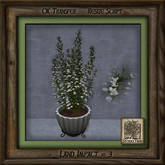 Simple Elegance Pine Mission Planter F