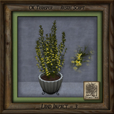 Stone Planter B Floral Ch