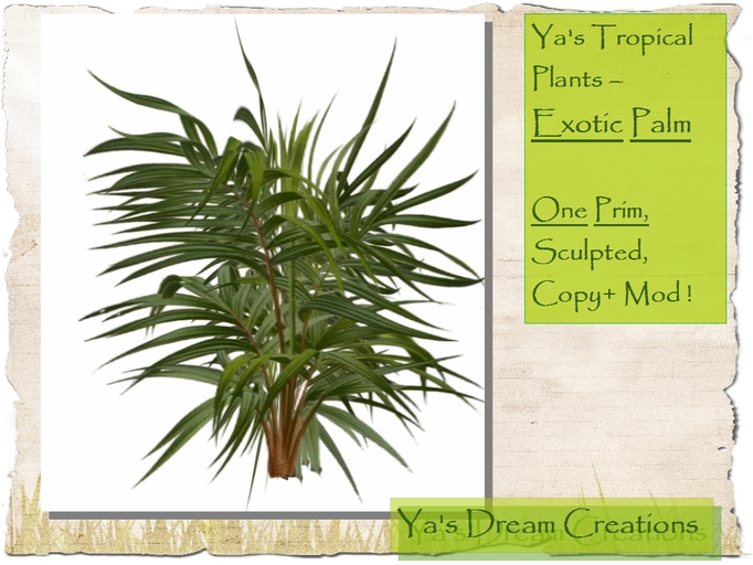 *Ya's* Tropical Plants - EXOTIC PALM - One Prim - Sculpted - Copy+Mod!