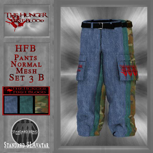 HFB_Pants_Normal Mesh Set3 B (wear me)