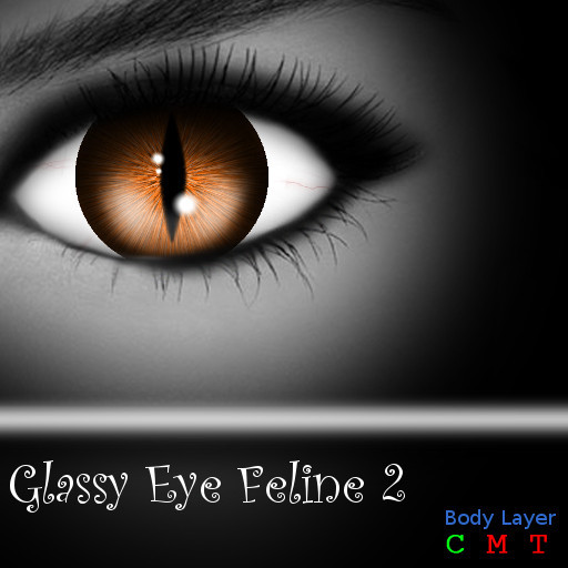 Glassy Eye Feline 2