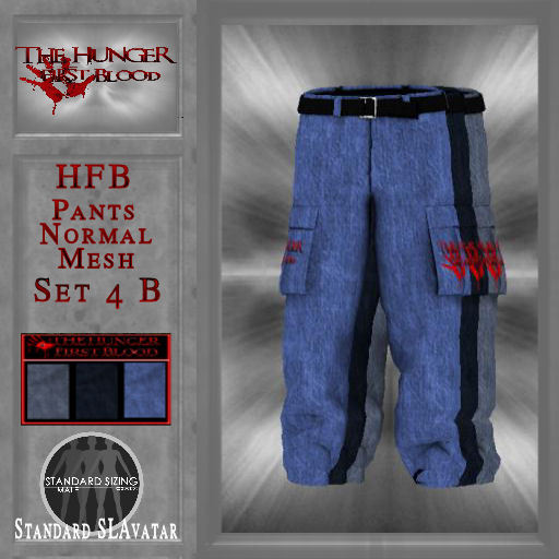 HFB_Pants_Normal Mesh Set4 B (wear me)