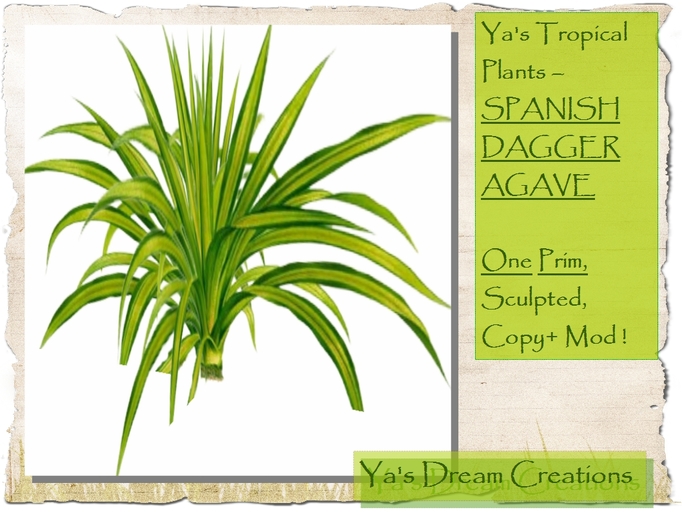 *Ya's* Tropical Plants - AGAVE - One Prim - Sculpted - Copy+Mod!