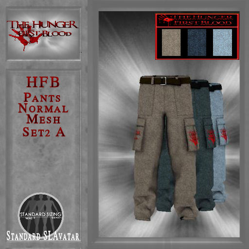 HFB_Pants_Normal Mesh_Set2 A (wear me)