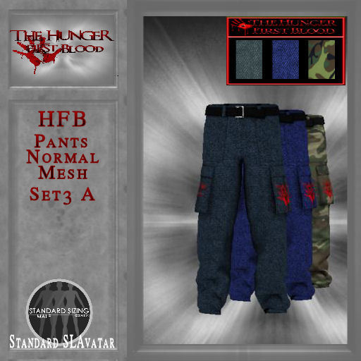 HFB_Pants_Normal Mesh_Set3 A (wear me)