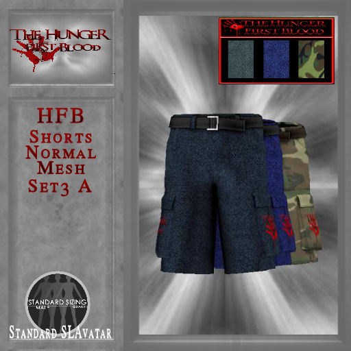 HFB_Shorts_Normal Mesh Set3 A (wear me)