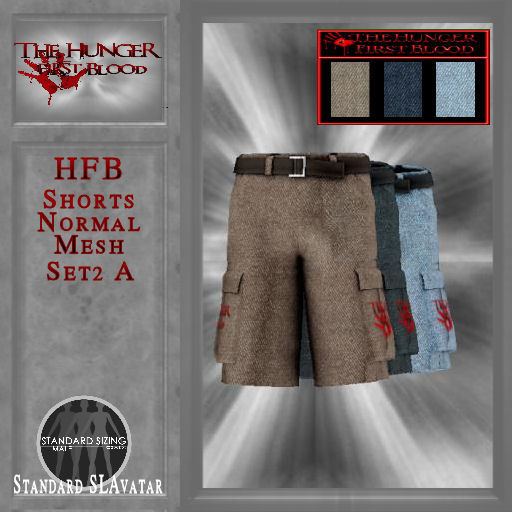HFB_Shorts_Normal Mesh Set2 A (wear me)