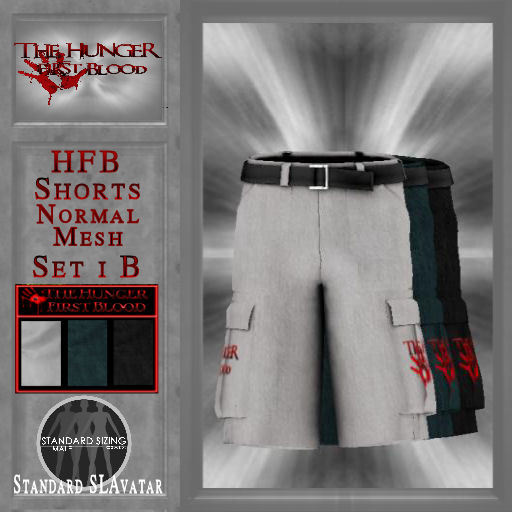 HFB_Shorts_Normal Mesh Set1 B (wear me)