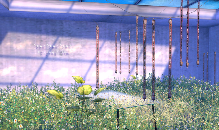 Drying film