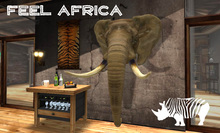 FEEL AFRICA - ELEPHANT HEAD - SAFARI - TROPHY - AFRICA