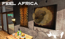 FEEL AFRICA - LION HEAD - SAFARI - TROPHY - AFRICA