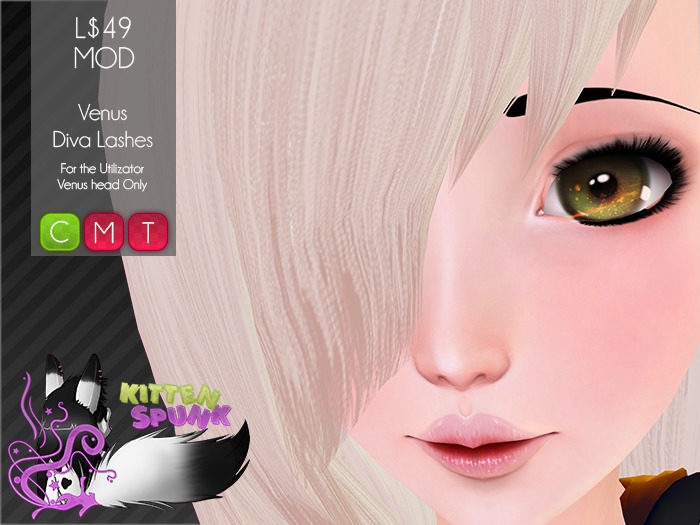 +KS+ Venus Diva Lashes // BOXED