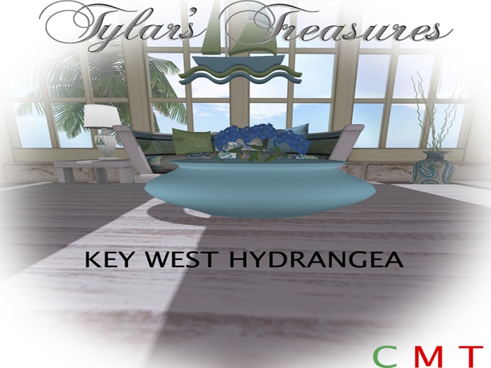 .:TT:.. KEY WEST HYDRANGEA  BOXED