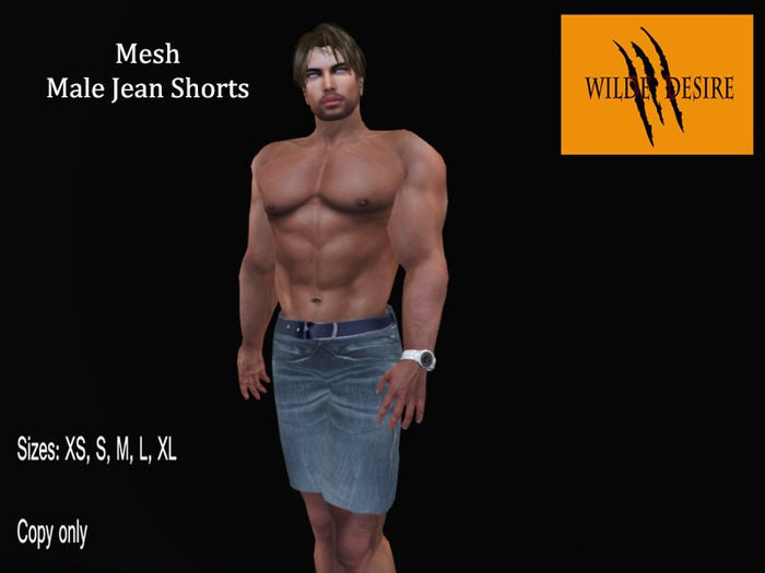 Mesh Male Jean Shorts