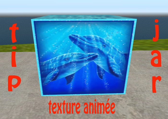 tipj animated dolphin