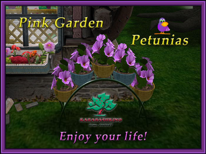 Pink Garden Petunias ♧ Copy ♧