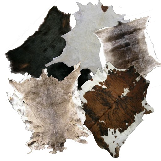 Second Life Marketplace KD lots of furs carpet box