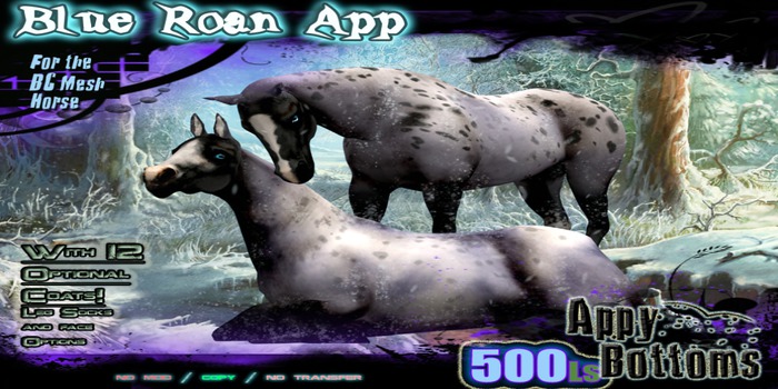 ~::AppB::~ Blue Roan App Coat