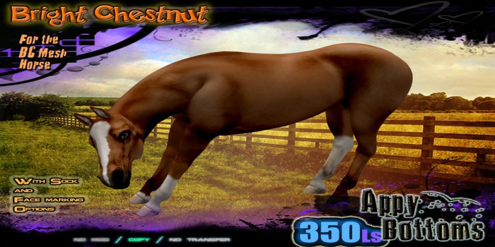 ~::AppB::~ Bright Chestnut Coat