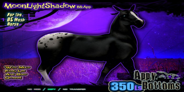 ~::AppB::~ MoonLightShadow Coat