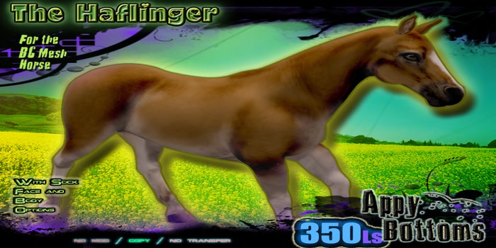 ~::AppB:: ~ RedRemora Red Fox